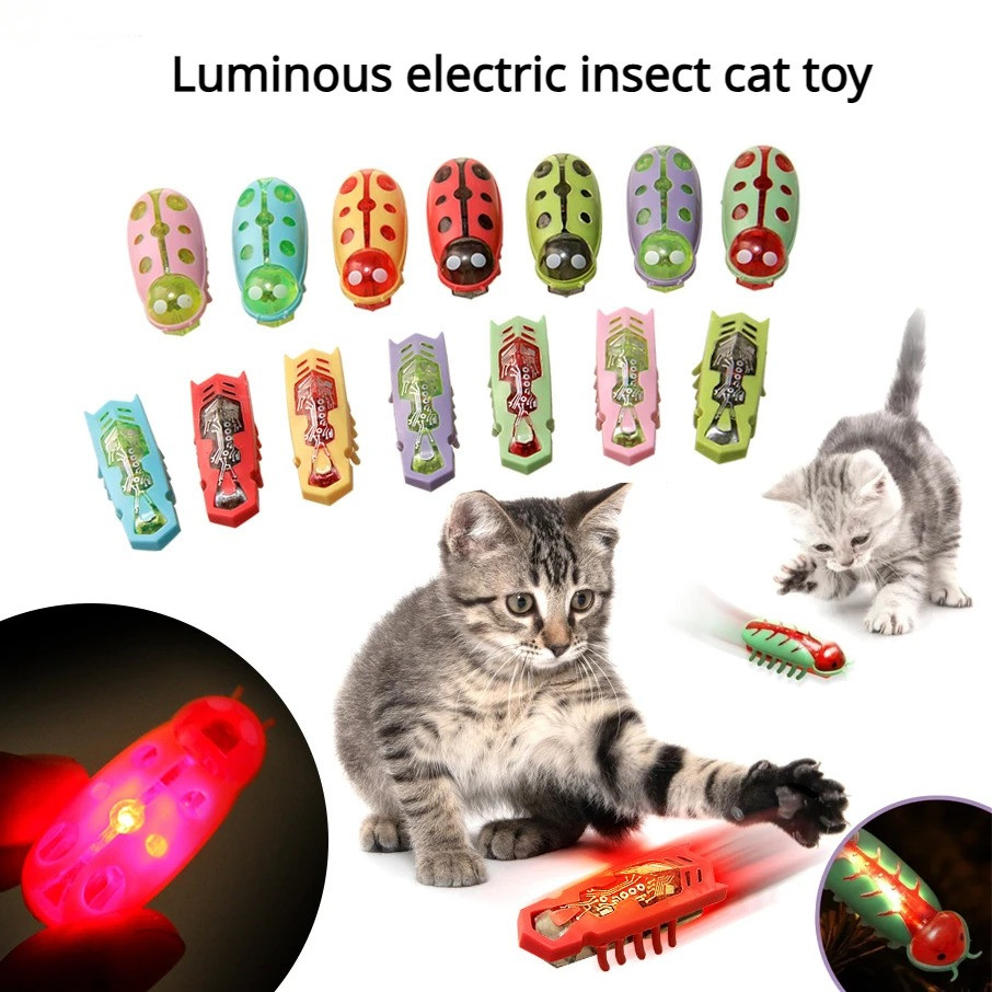 Power Tools Cat - Juguetes para Gatos: Gusanos Eléctricos Luminosos,