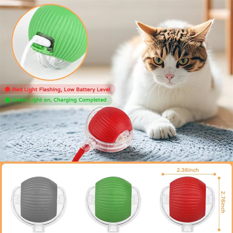 Nuevo Juguete Interactivo para - Power Tools Cat reseña y precio